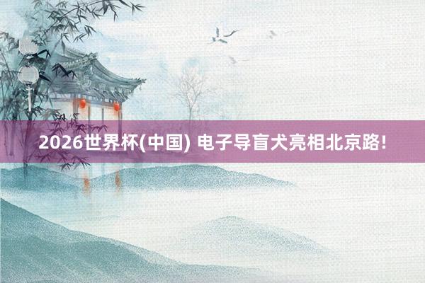 2026世界杯(中國(guó)) 電子導(dǎo)盲犬亮相北京路!