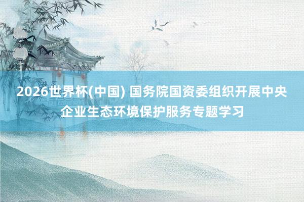 2026世界杯(中國) 國務(wù)院國資委組織開展中央企業(yè)生態(tài)環(huán)境保護服務(wù)專題學(xué)習(xí)