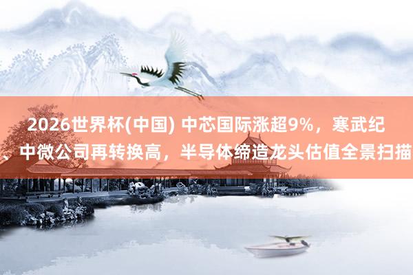2026世界杯(中國) 中芯國際漲超9%，寒武紀、中微公司再轉(zhuǎn)換高，半導體締造龍頭估值全景掃描