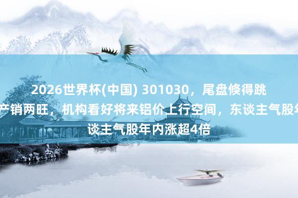 2026世界杯(中國(guó)) 301030，尾盤倏得跳水！鋁加工產(chǎn)銷兩旺，機(jī)構(gòu)看好將來鋁價(jià)上行空間，東談主氣股年內(nèi)漲超4倍