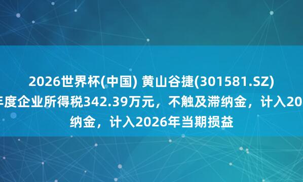 2026世界杯(中國) 黃山谷捷(301581.SZ):補繳2025年度企業所得稅342.39萬元,不觸及滯納金,計入2026年當期損益