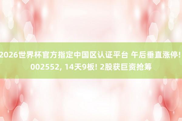 2026世界杯官方指定中國區(qū)認證平臺 午后垂直漲停! 002552, 14天9板! 2股獲巨資搶籌